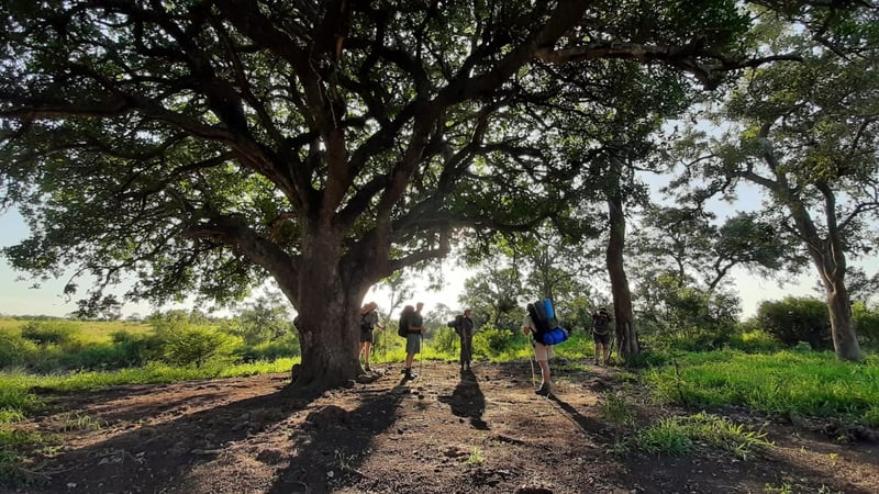 Tchagra Trails Launches Exclusive Wilderness Walking Safari in Southern Africa - Bring Yourself Home