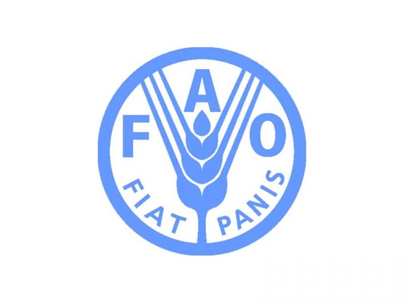 Pan-African Parliament (PAP) and FAO join hands to strengthen the Alliance for Food Security and Nutrition