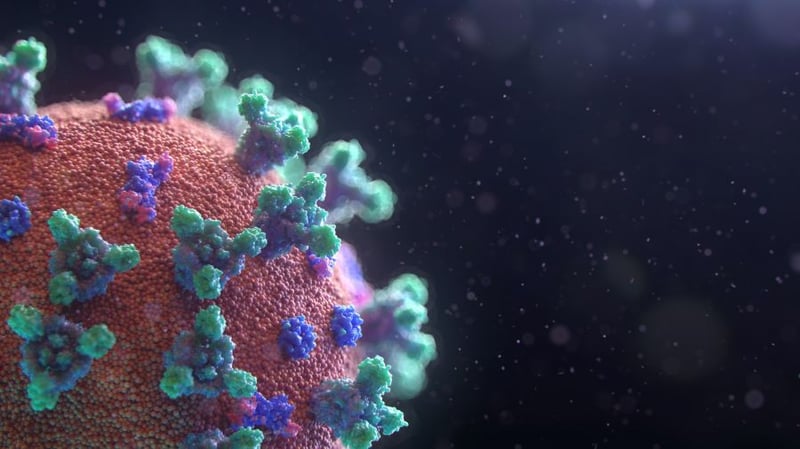 Curb Coronavirus: Two Steps to a Strong Immune System