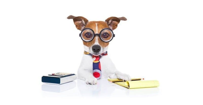 Deeming Provision - 'indefinite' Employment Does NOT Mean 'permanent' Employment