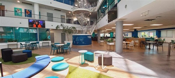 Concentrix South Africa Upgrades Create New Opportunities and Community Impact