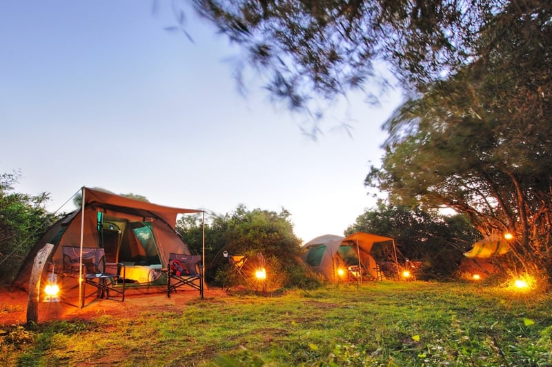 Shamwari Game Reserve and Sanbona Wildlife Reserve Reopen Explorer Camps