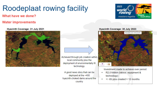 Global Rowing Regatta Breathing New Life Into Roodeplaat Dam ...