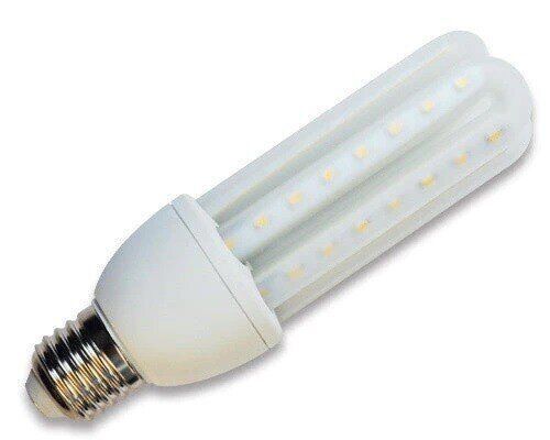 Future Light Unveils 12V LED Bulb for Sustainable Lighting Solutions ...