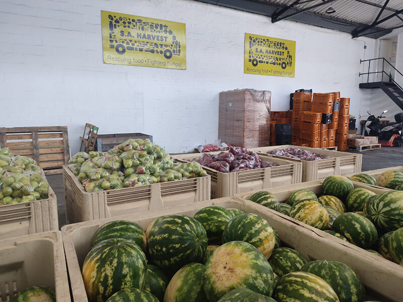 SA_Harvest_Cape_Town_warehouse_filled_with_watermelons_from_OneFarm_Share_in_bins_donated_by_Agrimark.jpg
