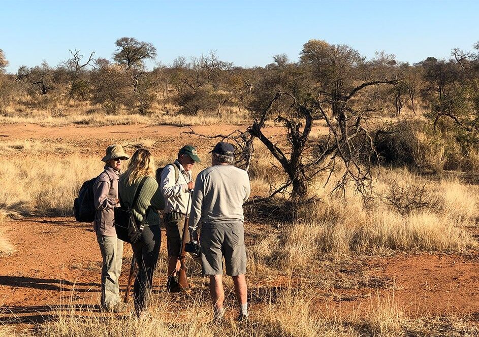 Ever Dreamed of Walking in the Wild? Discover the Thrilling Adventure of Tracking Animals on Foot! Ever Dreamed of Walking in the Wild? Discover the Thrilling Adventure of Tracking Animals on Foot!