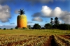 Big Pineapple, Bathurst, Eastern Cape