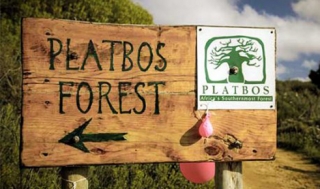 First Car Rental supports Platbos Forest restoration programme