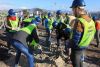 Corporates asked to get their hands dirty for Mandela day