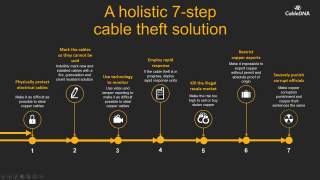 Creating an Integrated Copper Theft Prevention Strategy for South Africa