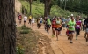 A runner&#039;s dream - The Momentum Cape Times Knysna Forest Marathon