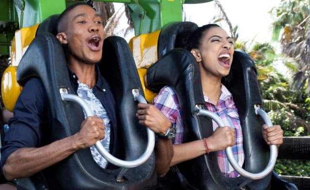 Gold Reef City Theme Park_Anaconda