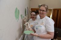 PPG and Prominent Paints Add Colour &amp; Life to the Paul Jungnickel Home for Adults with Disabilities