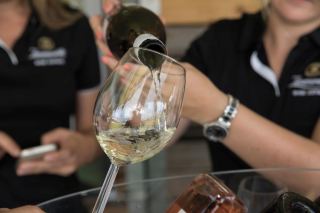 The Stellenbosch Wine Festival is back!