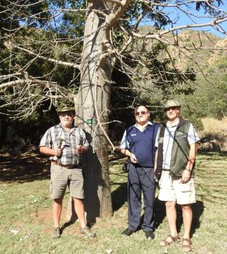 Neels Snyman, Nols van der Berg and Flip du Plessis standing with a Baobab Tree at Forever Swadini in Limpopo