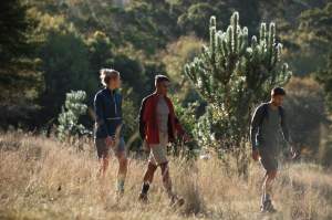 The Top 5 Trails to Tackle this Summer in your Falke Socks