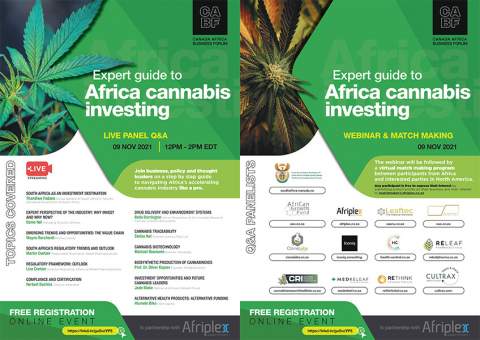 Turning Green to Gold - A guide to Africa cannabis investing at the first cannabis trade virtual conference