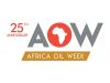 the dti to support South African (SA) companies to showcase at Africa Oil Week