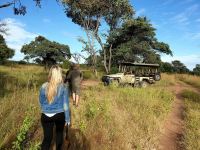 Tintswalo Introduces Walking Safaris in Two Nature Reserves