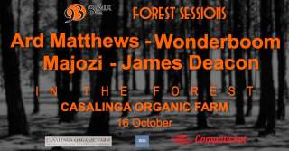 Forest Sessions return to Casalinga