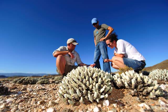 Western Cape reaches conservation milestone with Sanbona’s registration as Non-Profit Corporation