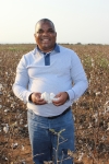 Phenias Gumede inspects his cotton fields on his farm in Jozini, northern KZN. 