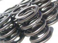 STK High Rev Valve Spring Kit