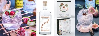 Award winning gin launches new packaging and novel Christmas gift idea