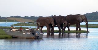 Chobe National Park