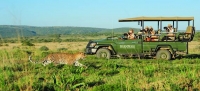 Shamwari Game Reserve Presents Two Winter Pro Photo Safari Options