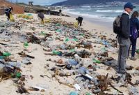 Plastic bottles that washed up on Milnerton beach in September.