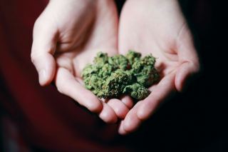 Marijuana and how it impacts schizophrenia