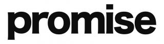 Promise Group Logo