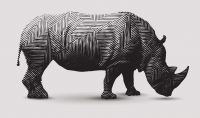 Picture purchased and supplied for editorial use - CM Trading look into the Rhino Investment Bond