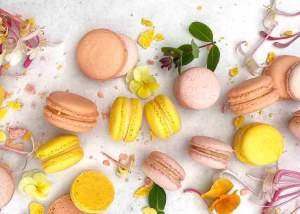 Grace Stevens - 5 Fantastic Fixes for Macaron Fails