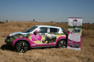 First Car Rental encouraging South African&#039;s by starting their Campaign called First For Rhino