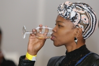 2014 Soweto Wine and Lifestyle Festival