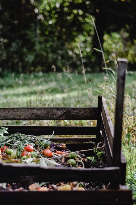 It&#039;s all about the compost!