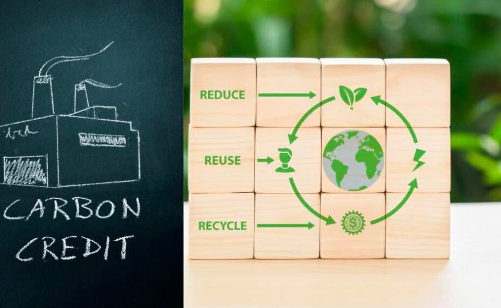 The Role of Carbon Credits in Achieving a Sustainable Future ...