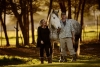 OUTENIQUA MOON PERCHERON STUD FARM &amp; ACCOMMODATION