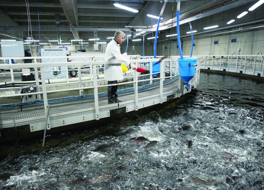 Veolia Water Technologies improves aquaculture efficiency and profitability