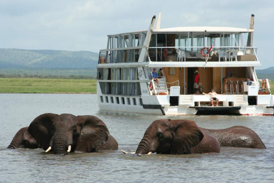 Floating alongside elephants