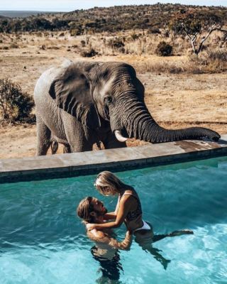 Celebrate your love with a Valentine&#039;s Safari at Mhondoro in the Waterberg