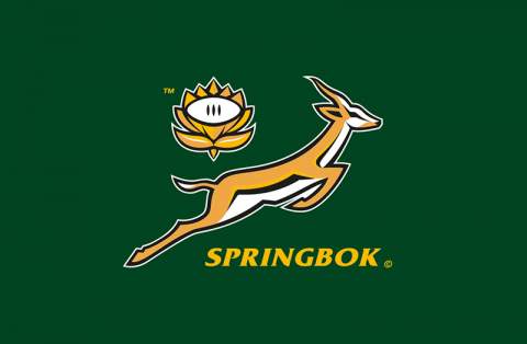 Springbok Women back in action against Kenya