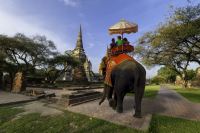 Foreign tourists Elephant ride.